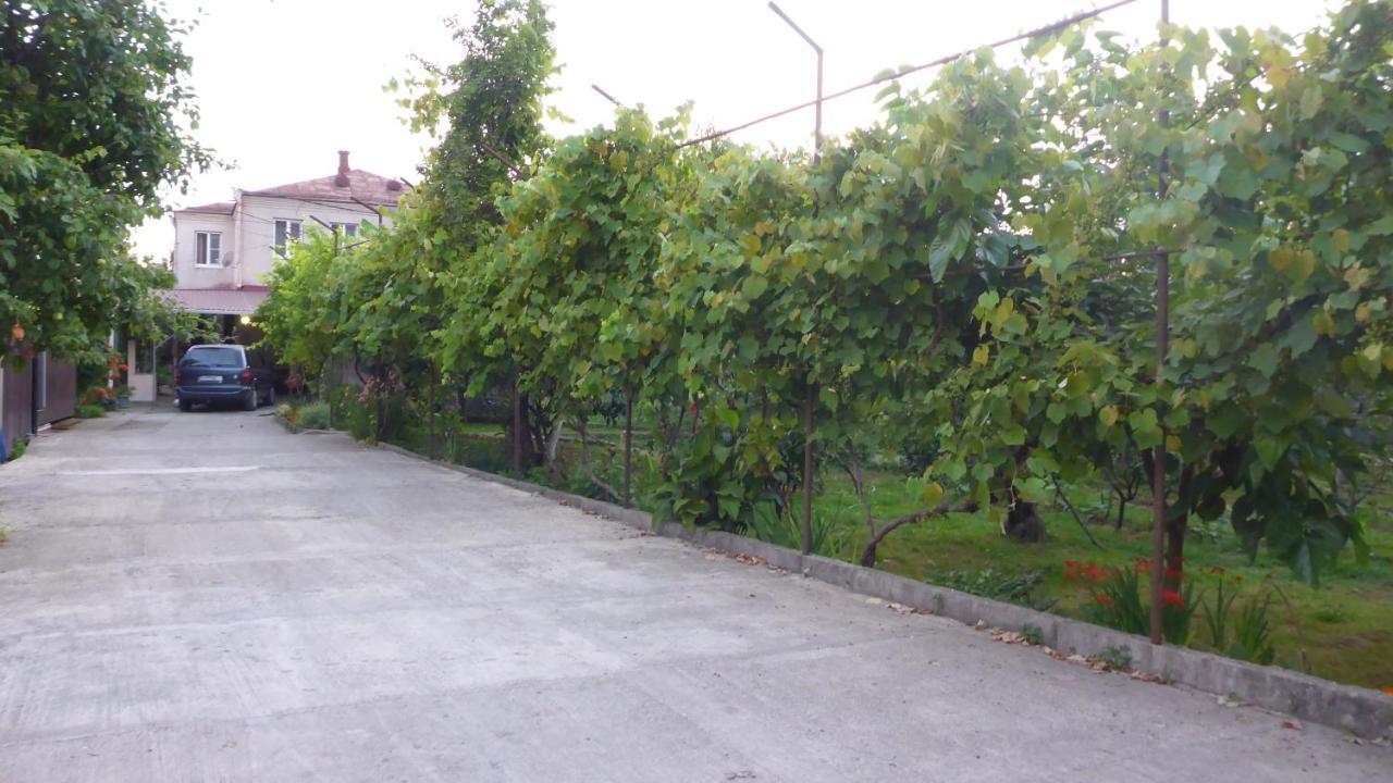 Guest House U Aleny Гагра Екстер'єр фото